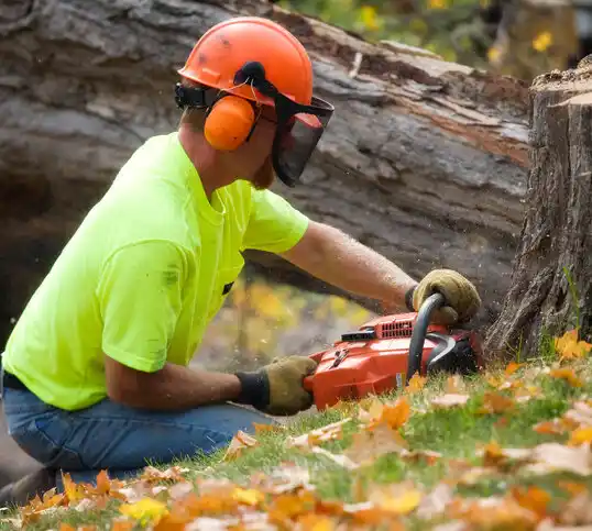 tree services Obetz